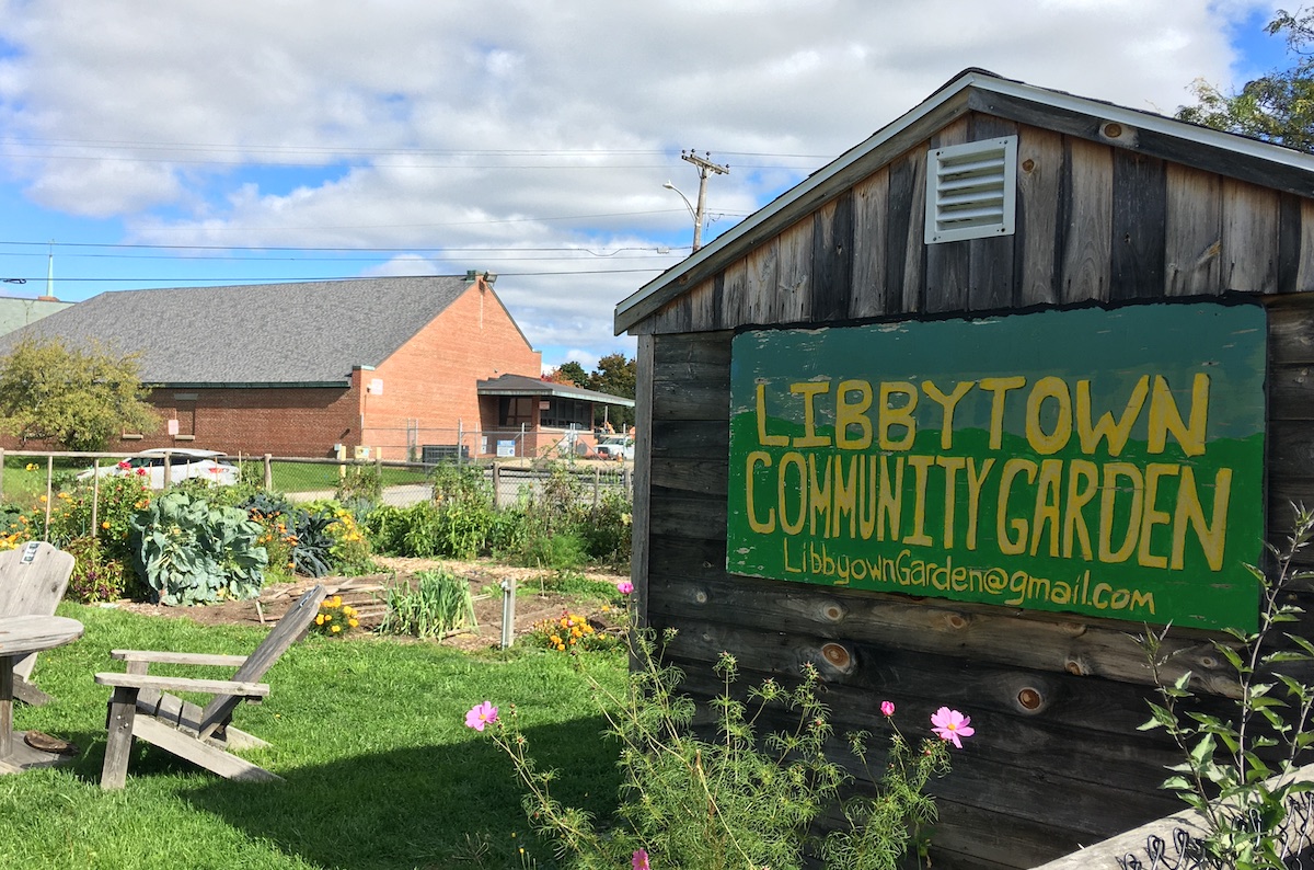 Libbytown Neighborhood Association Candidate Garden Party